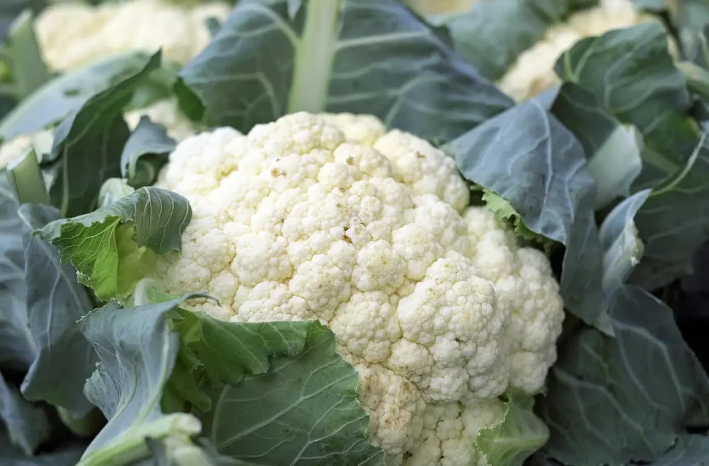 Hoeveel bloemkool per persoon