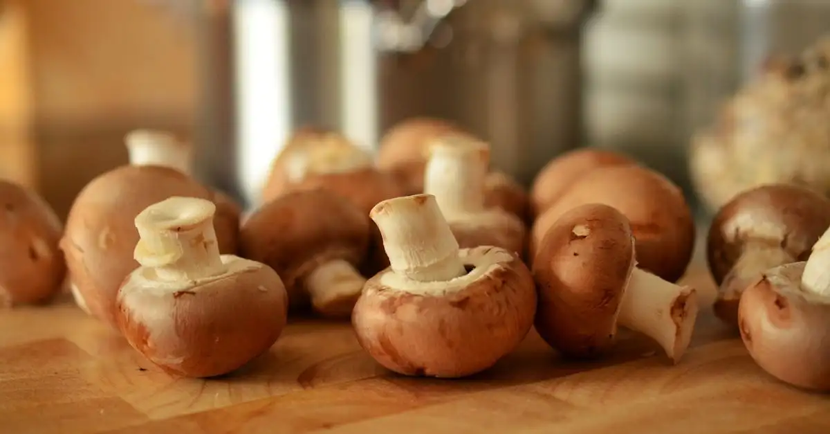 Hoeveel champignons per persoon